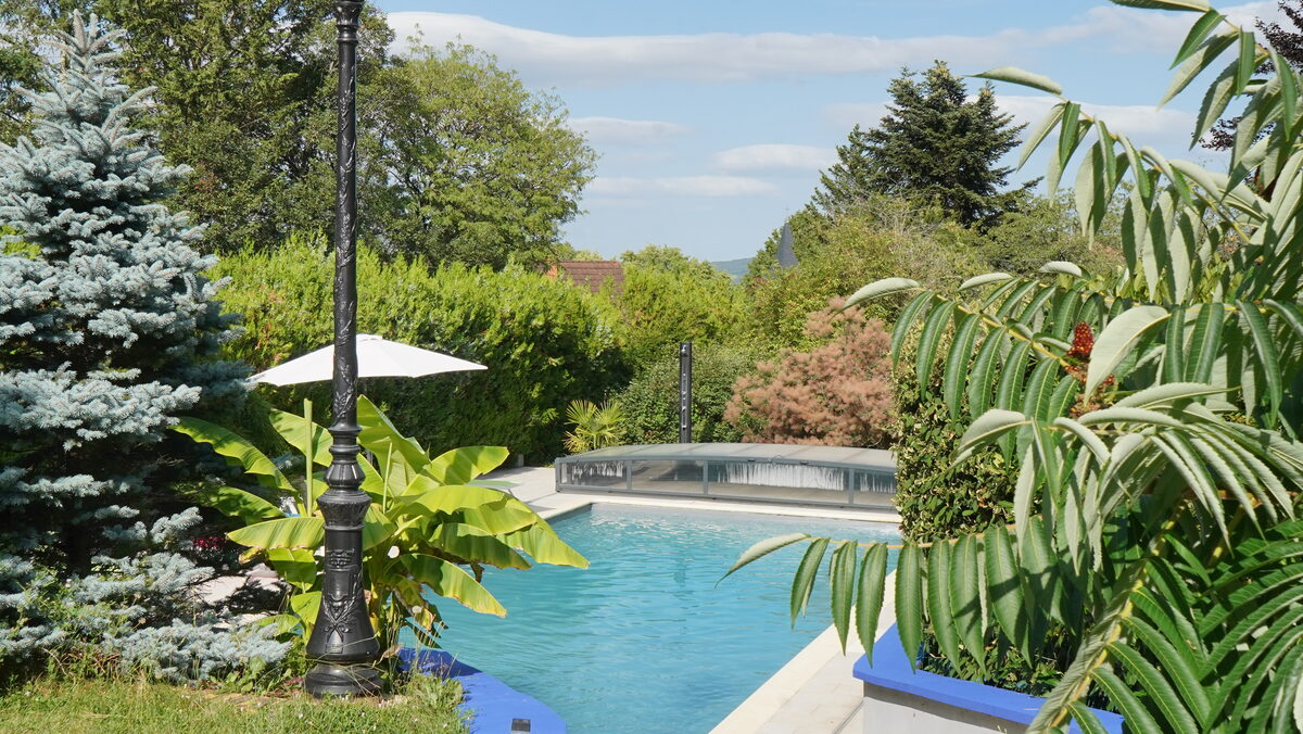 La piscine du domaine, entourée de végétation.